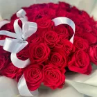 50 szál vörös rózsa csokor fehér díszpapírban, szalaggal