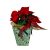 Piros mikulásvirág dísztasakban