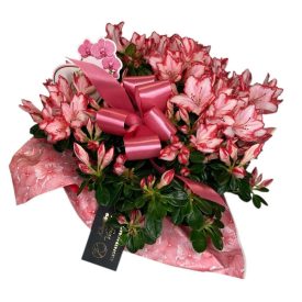   Azálea díszpapírban, anyák napi kártyával - rózsaszín cirmos