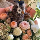 Barack - fehér ballagási csokor