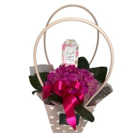 Fokföldi ibolya tasakban, anyák napi kártyával