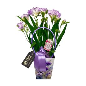 Frézia dísztasakban, anyák napi betűzővel