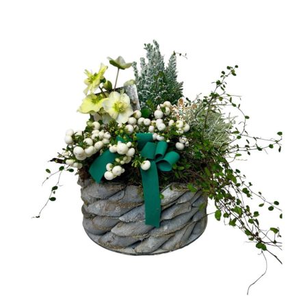 Hóbogyós karácsonyi összeültetés