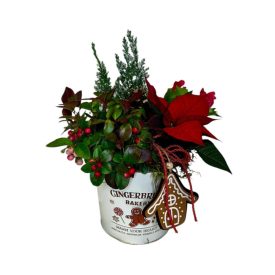 Karácsonyi bogyós összeültetés - iros