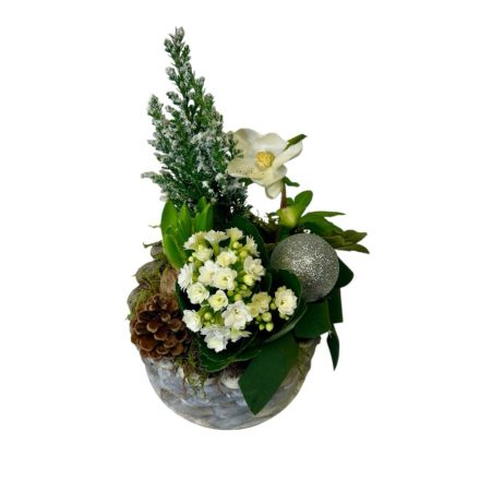 Karácsonyi összeültetés korallvirággal