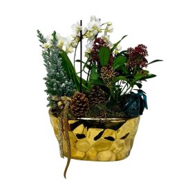 Karácsonyi összeültetés arany kaspóban, tobozzal