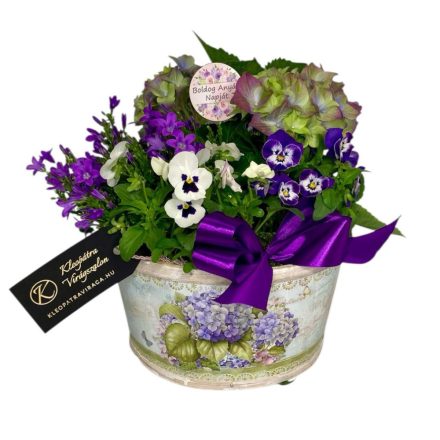 Lila összeültetés fa ládában