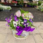 Lila összeültetés fa ládában