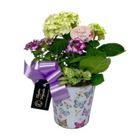 Lila összeültetés lepkés bádogkaspóban