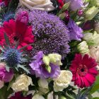 Nyári box - lila, pink, fehér