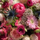 Óriás box - rózsaszín, pink, barack