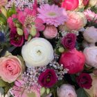 Óriás box - rózsaszín, pink, barack