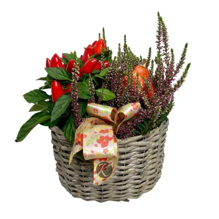 Őszi összeültetés kerek kosárban, dísztökkel