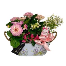 Rózsaszín összeültetés bádogkaspóban hortenziával