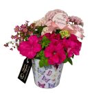 Rózsaszín összeültetés lepkés bádogkaspóban