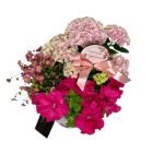 Rózsaszín összeültetés lepkés bádogkaspóban