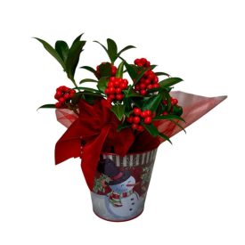 Szkimmia bádog kaspóban